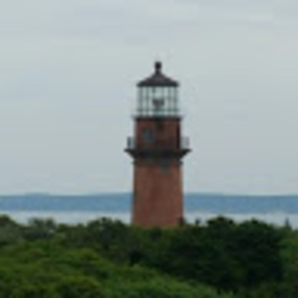 Meet your Posher, Emma - Picture 1 of 1